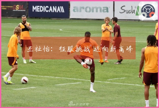 王祉怡：征服挑战 迈向新高峰