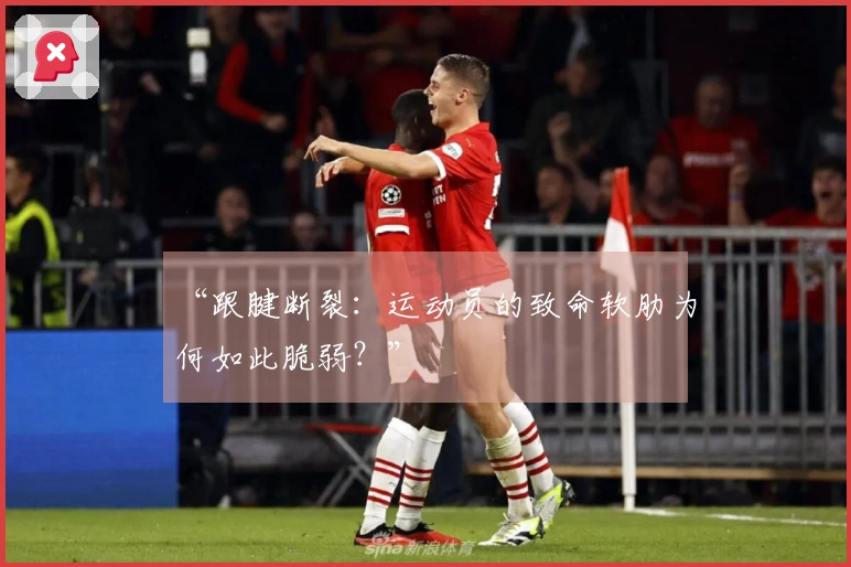 “跟腱断裂：运动员的致命软肋为何如此脆弱？”