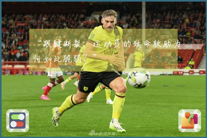 “跟腱断裂：运动员的致命软肋为何如此脆弱？”